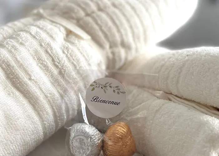 Junior - Le Chene Bleu - Centre Historique Апартаменты Дижон