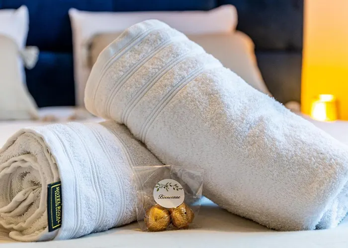 Junior - Le Chene Bleu - Centre Historique * 디종