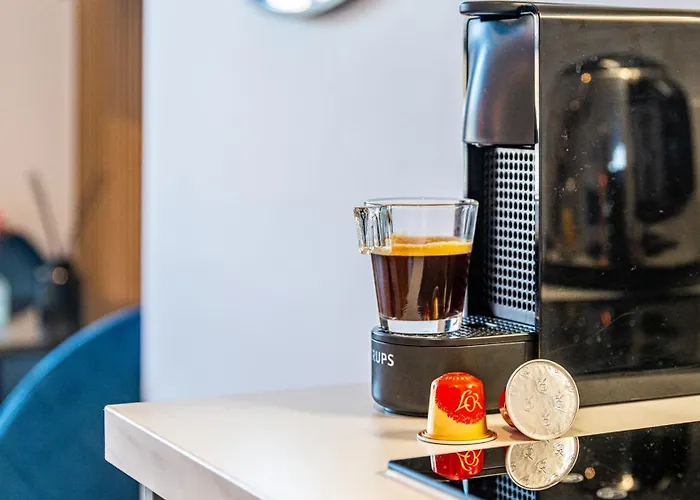 Junior - Le Chene Bleu - Centre Historique 디종